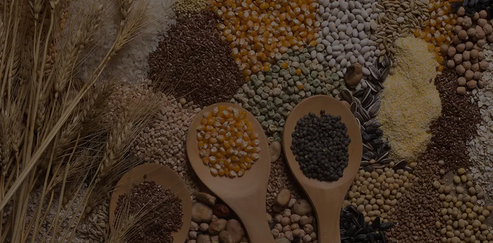 Complex whole grain sources